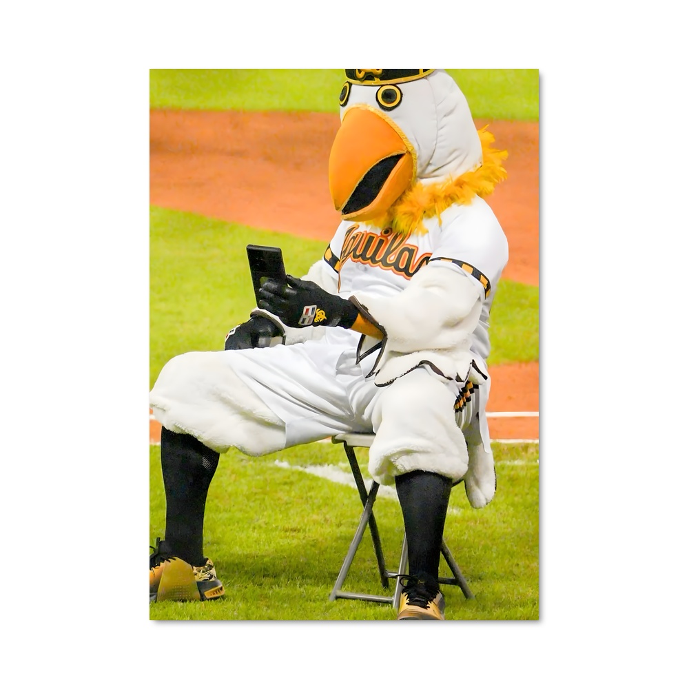 Poster Mascotte des Aigles